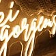 Oki Goageous Neon Sign