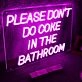 Please Don'T Do Coke In The Bathroom Neon Sign
