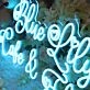 Blue Lily Cake And Florist Neon Sign