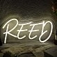 REED Neon Sign