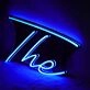 The Neon Sign