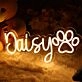 Daisy Neon Sign