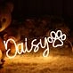 Daisy Neon Sign