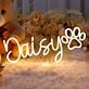 Daisy Neon Sign