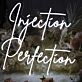 Injection Perfection Neon Sign