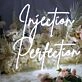 Injection Perfection Neon Sign