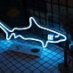 Great White Shark Neon Sign