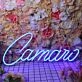 Camano Neon Sign