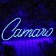 Camano Neon Sign
