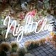 Night Class Neon Sign