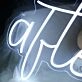 Alter Neon Sign