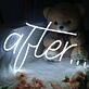 Alter Neon Sign