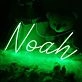 Noah Neon Sign
