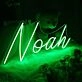 Noah Neon Sign