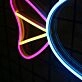 Colorful Fish Neon Sign