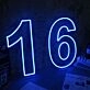 NO 16 Neon Sign