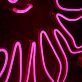 Octopus Neon Sign
