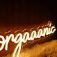 Morganic Neon Sign