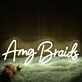 Amg Braids Neon Sign