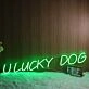 ULUCK DOG Neon Sign