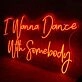 I Wanna Dance With Somebody Neon Sign