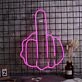 Middle Finger Gesture Neon Sign