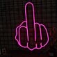 Middle Finger Gesture Neon Sign