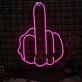 Middle Finger Gesture Neon Sign
