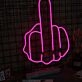 Middle Finger Gesture Neon Sign