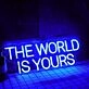 THE WORLD IS YOURS Blue Neon Sign