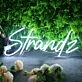 Stands White Neon Sign