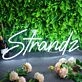Stands White Neon Sign