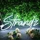 Stands White Neon Sign