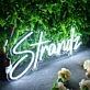Stands White Neon Sign