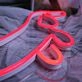 Sausage Dog Red Neon Sign