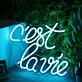 C'est Lavie Neon Sign