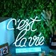 C'est Lavie Neon Sign