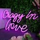 Crazy In Love Neon Sign
