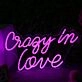 Crazy In Love Neon Sign