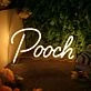 Pooch Yellow Neon Sign