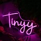 Tinyy Pink Neon Sign