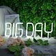 BIG DAY White Neon Sign