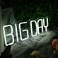 BIG DAY White Neon Sign