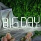 BIG DAY White Neon Sign