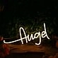 Augel Yellow Neon Sign