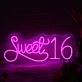 Sweet 16 Pink Neon Sign
