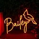 Bailey Orange Neon Sign