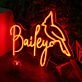 Bailey Orange Neon Sign