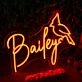 Bailey Orange Neon Sign