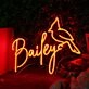 Bailey Orange Neon Sign